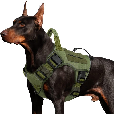 Harnais chien Ranger kaki