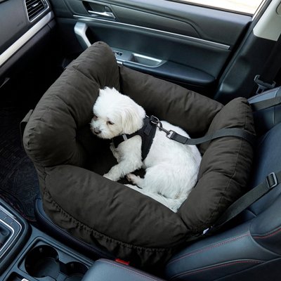 Chien endormi dans un Siege auto pour chien noir en voiture