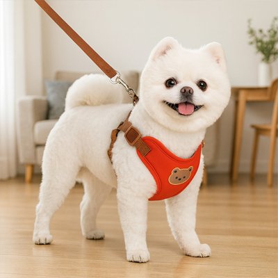 Chien Harnais pour petit Chien Poupi Rouge