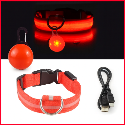 collier lumineux pour chien rouge