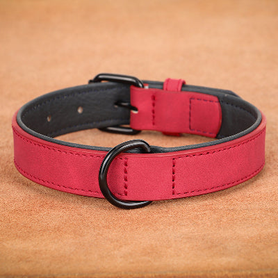 collier chien en cuir rouge