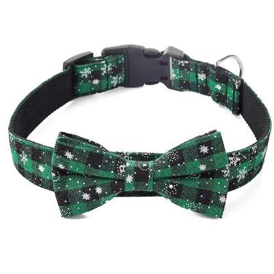 collier chien noeud papillon vert