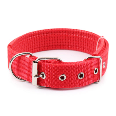 collier pour chien rouge