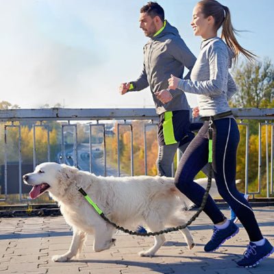 couple courant avec leur chien en laisse canicross