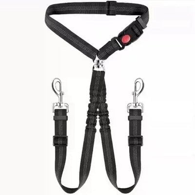 double laisse pour chien noire