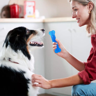 femme donnant un jouet chien indestructible Mastica bleu à son chien