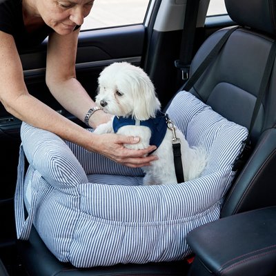 femme posant un chien dans un siege auto pour chien Toutou mobile rayé