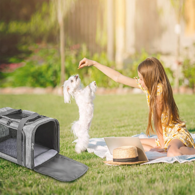 fillette au parc jouant avec son petit chien et son sac de transport Panoramique gris