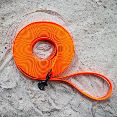 laisses pour chiens baladog orange