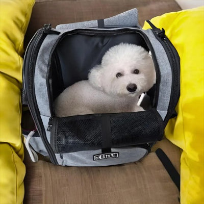 Chien assis dans sac à dos chien Liberté gris