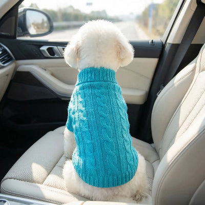 Chien assis dans voiture en pull pour petit chien côtelé élégant bleu