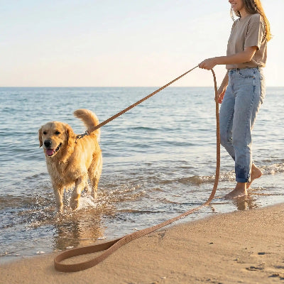 Chien en balade  en longe pour chien Imperméable marron avec sa maitresse à la mer