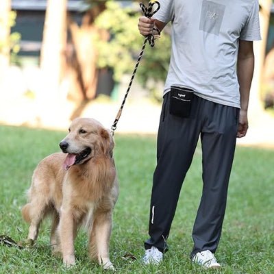 Chien en laisse chien Montane beige et noir avec son maitre 