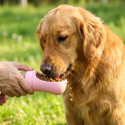 Chien mangeant dans une gourde chien Rando soif rose