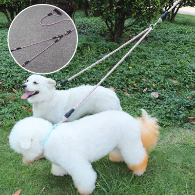 Chiens heureux en laisse double pour chien