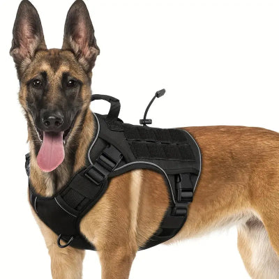 Harnais chien Ranger noir