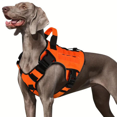 Harnais chien Ranger orange
