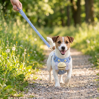 Petit chien en harnais pour chien Abeille bleu