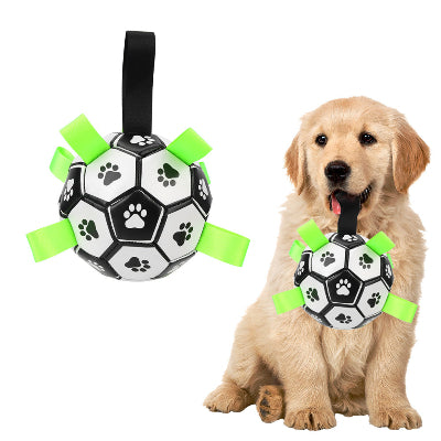 balle chien Foot 