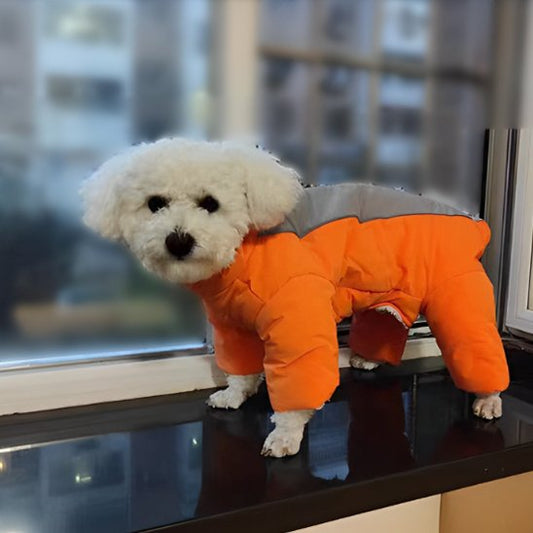 chien a l'intérieur en manteaux pour chien Look Hiver orange