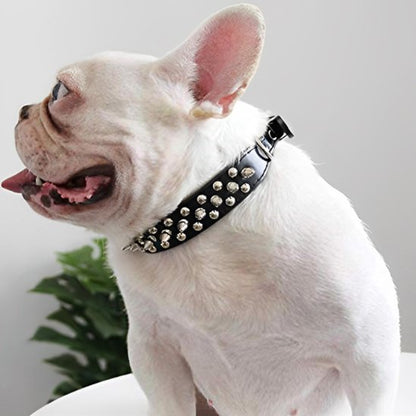  chien assis avec collier pour chien cloute noir 
