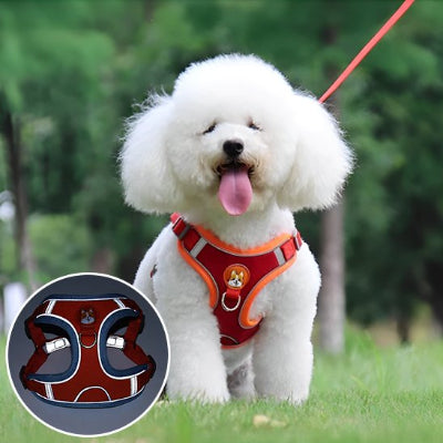 chien assis avec Harnais pour chien  Douce Patte rouge et encart harnais