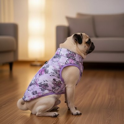 chien assis avec manteau Chien Hiver douillet mauve