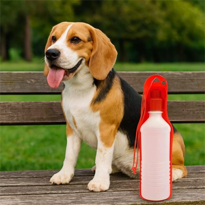 Chien assis avec une gourde pour Chiens Museau Frais rouge
