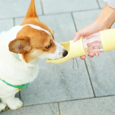Chien assis buvant dans une gourde pour chien Aqua Trot jaune