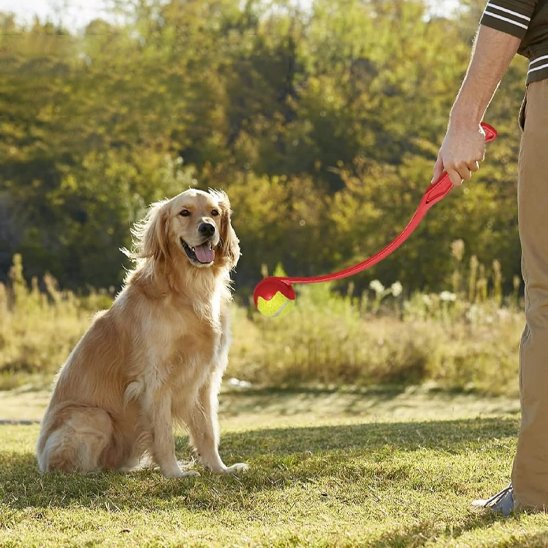 chien assis devant lanceur de balle pour chien Launchy rouge et son maitre