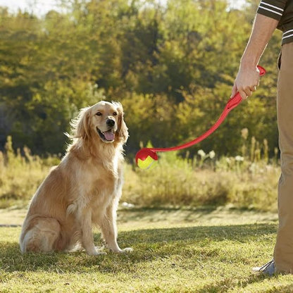 chien assis devant lanceur de balle pour chien Launchy rouge et son maitre
