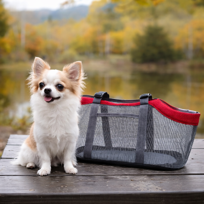 chien assis devant son sac de transport pour chien Filet visibilité rouge 