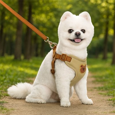 Chien assis Harnais pour petit Chien Poupi Beige