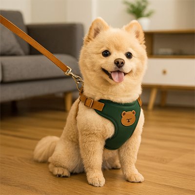 Chien assis Harnais pour petit Chien Poupi Vert