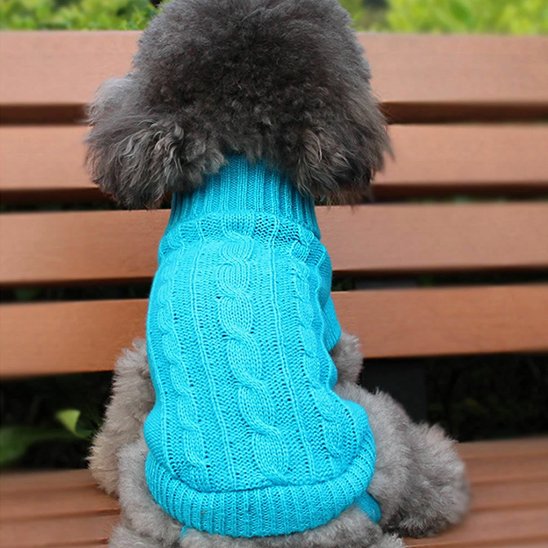 Chien assis sur un banc avec pull pour petit chien côtelé élégant bleu