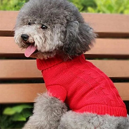 Chien assis sur un banc avec pull pour petit chien côtelé élégant rouge
