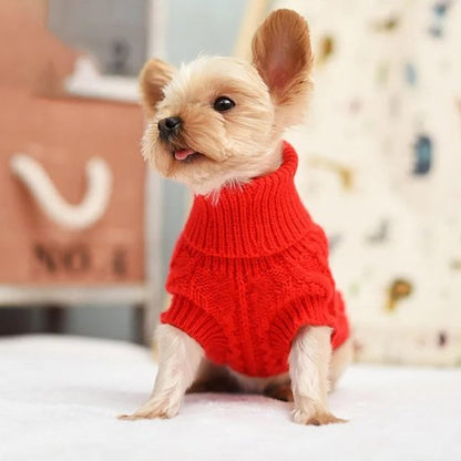 Chien assis sur un canapé avec pull pour petit chien côtelé élégant rouge