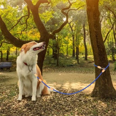 chien attache a un arbre en laisse double pour chien bleue