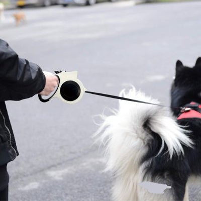 chien attache en laisse de chien blanche lumineuse