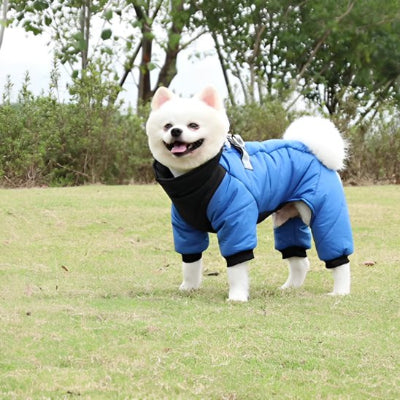 Chien au parc en manteau chien Réconfort bleu 