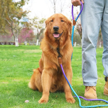 Chien avec harnais chien confort Léger Prémium bleu au parc