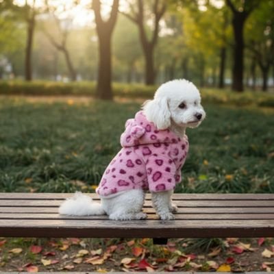 Chien avec Manteau pour petit chien rose au parc sur un banc
