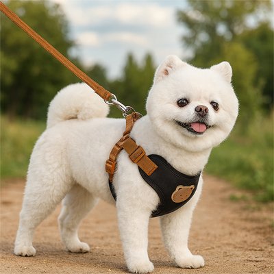 Chien Blanc  Harnais pour petit Chien Poupi Noir