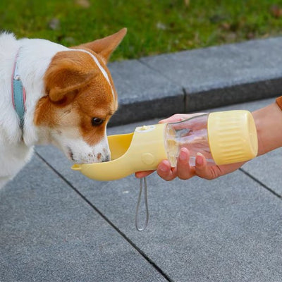Chien buvant dans une gourde pour chien Aqua Trot jaune