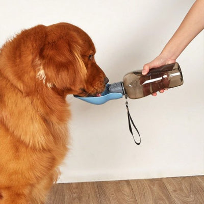 Chien buvant dans une gourde pour chien​ Balade Pure bleu