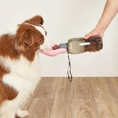 Chien buvant dans une gourde pour chien​ Balade Pure rose