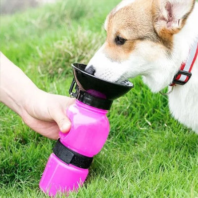 Chien buvant dans une gourde pour chien​ Route Fraiche Rose