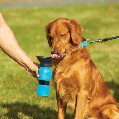 Chien buvant dans une gourde pour chien​ Route Fraiche bleu
