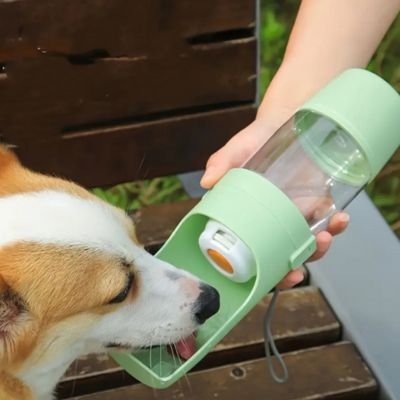 Chien buvant dans une gourde pour Chien Truffe Fraiche vert