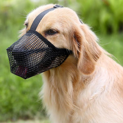 chien calme avec muselière chien Air Calm noir